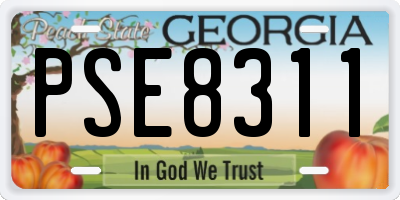 GA license plate PSE8311