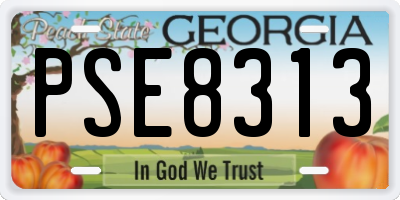 GA license plate PSE8313
