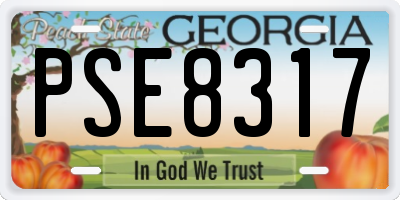 GA license plate PSE8317