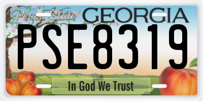 GA license plate PSE8319