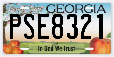GA license plate PSE8321