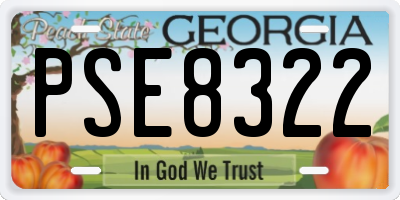 GA license plate PSE8322