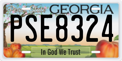 GA license plate PSE8324