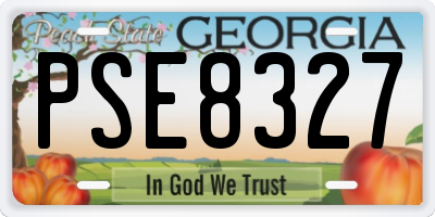 GA license plate PSE8327