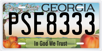 GA license plate PSE8333