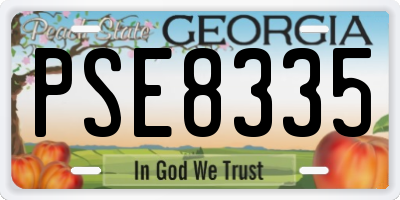 GA license plate PSE8335