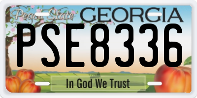 GA license plate PSE8336