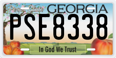 GA license plate PSE8338
