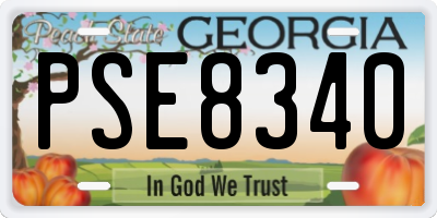 GA license plate PSE8340