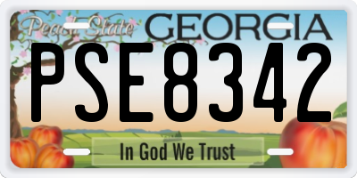 GA license plate PSE8342