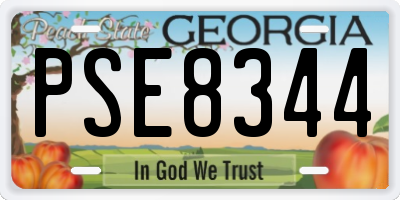 GA license plate PSE8344