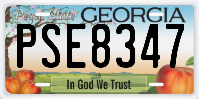 GA license plate PSE8347
