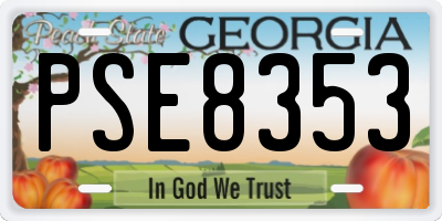 GA license plate PSE8353