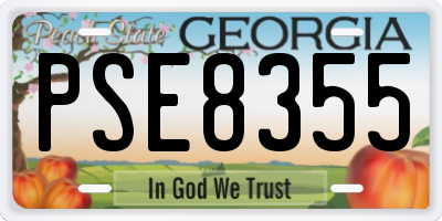 GA license plate PSE8355