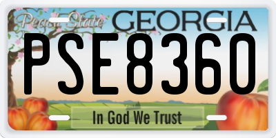 GA license plate PSE8360