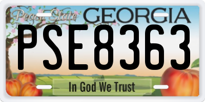 GA license plate PSE8363