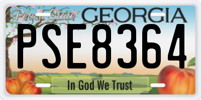 GA license plate PSE8364