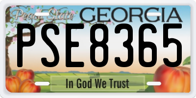 GA license plate PSE8365