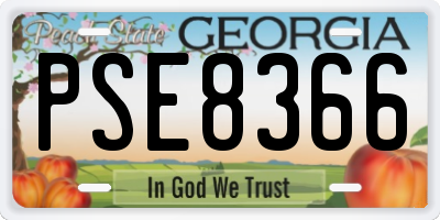 GA license plate PSE8366