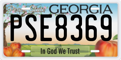 GA license plate PSE8369