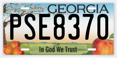 GA license plate PSE8370