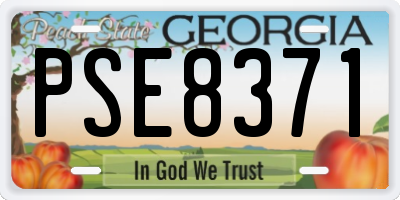 GA license plate PSE8371