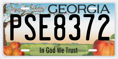 GA license plate PSE8372