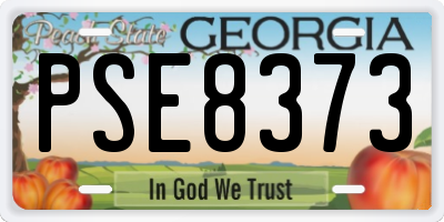 GA license plate PSE8373