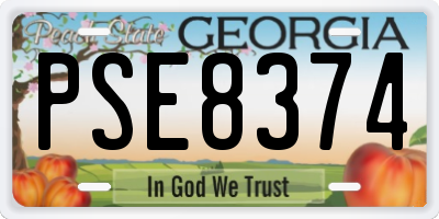 GA license plate PSE8374