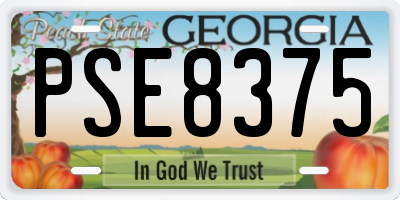 GA license plate PSE8375