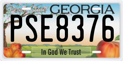 GA license plate PSE8376