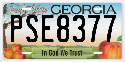 GA license plate PSE8377