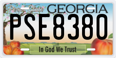 GA license plate PSE8380