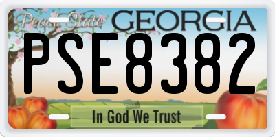 GA license plate PSE8382