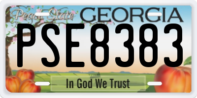 GA license plate PSE8383