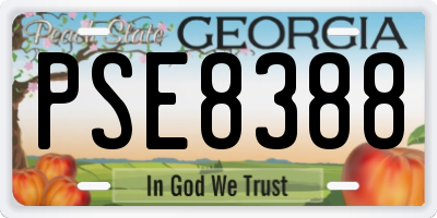 GA license plate PSE8388