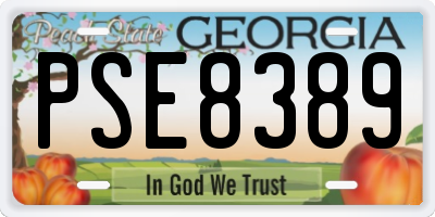 GA license plate PSE8389