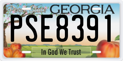 GA license plate PSE8391
