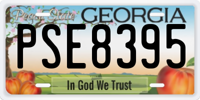 GA license plate PSE8395