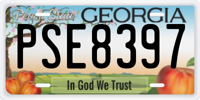GA license plate PSE8397