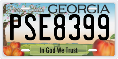 GA license plate PSE8399