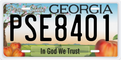 GA license plate PSE8401