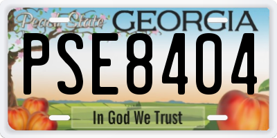 GA license plate PSE8404
