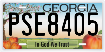 GA license plate PSE8405
