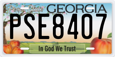 GA license plate PSE8407
