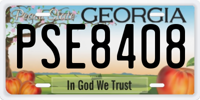 GA license plate PSE8408