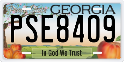 GA license plate PSE8409