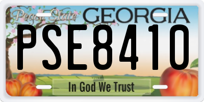 GA license plate PSE8410