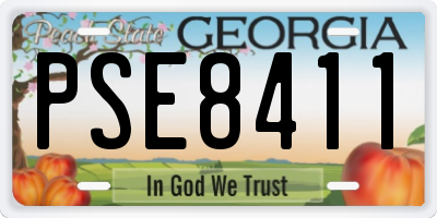 GA license plate PSE8411