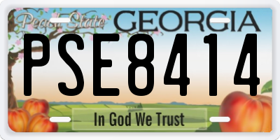 GA license plate PSE8414